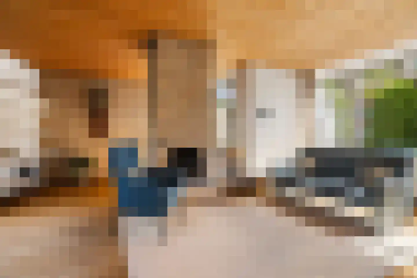 Dr. s'Jacoblaan 43 Zeist thumbnail 14