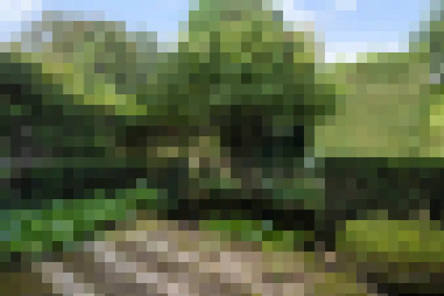 Dr. s'Jacoblaan 43 Zeist thumbnail 20