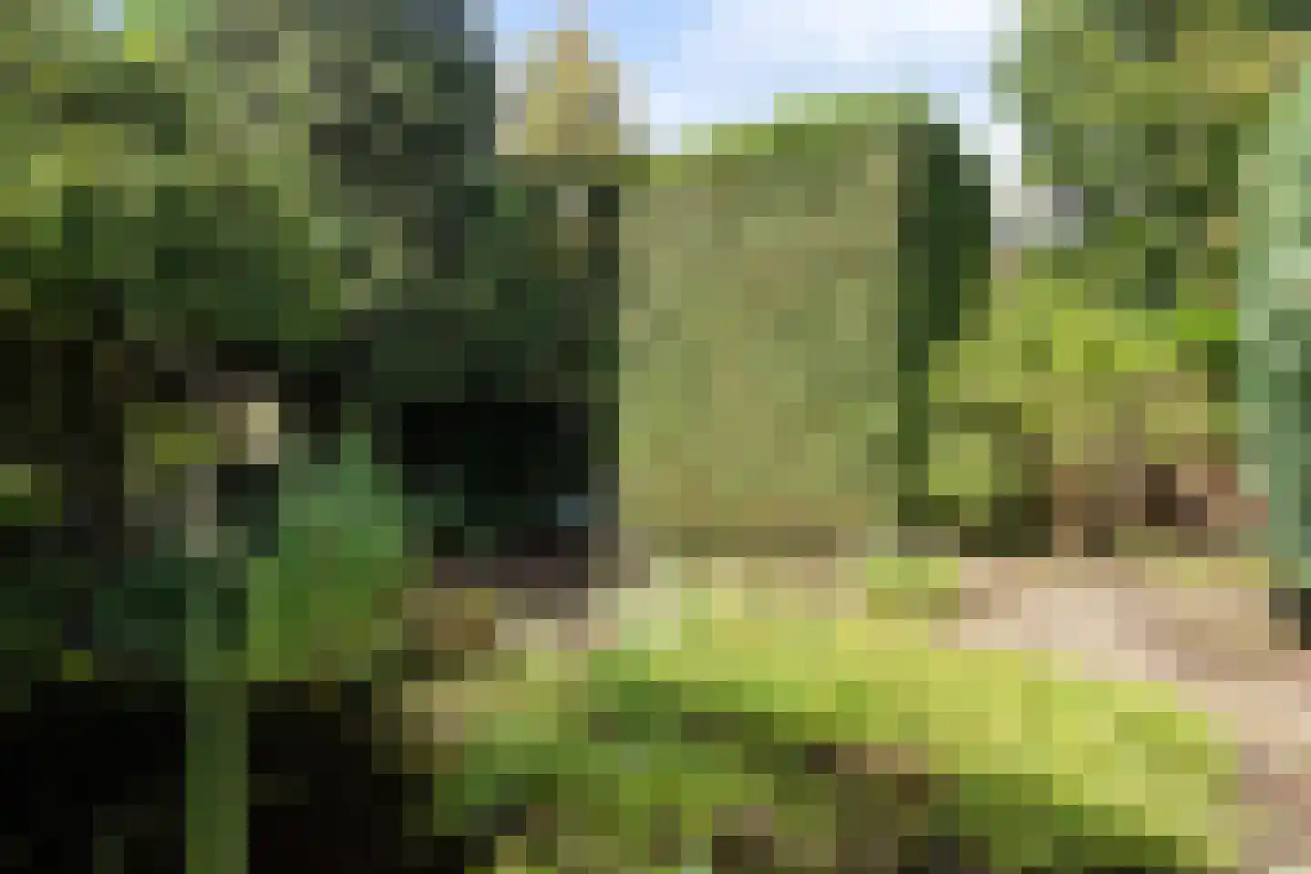 Dr. s'Jacoblaan 43 Zeist thumbnail 22