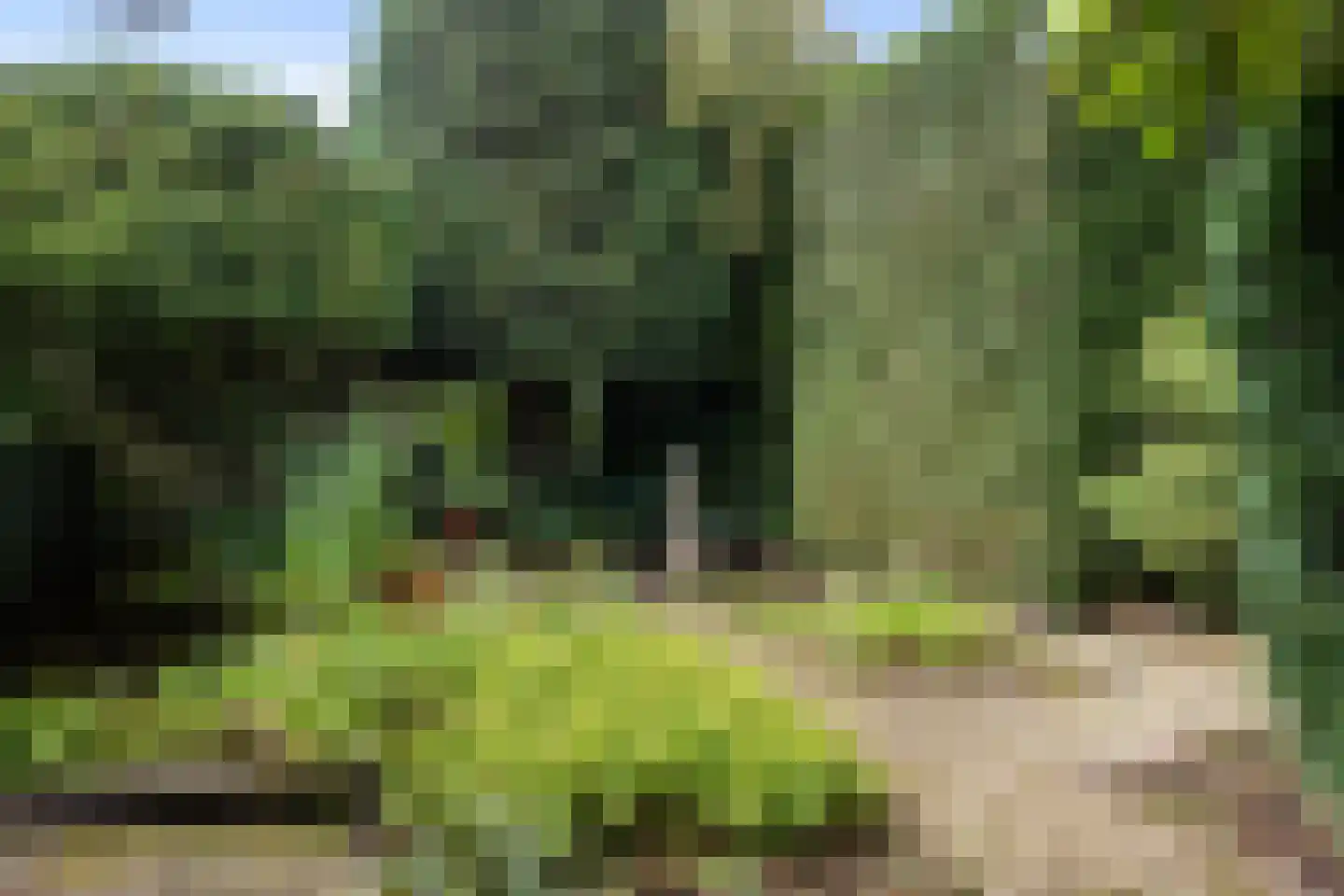 Dr. s'Jacoblaan 43 Zeist thumbnail 23