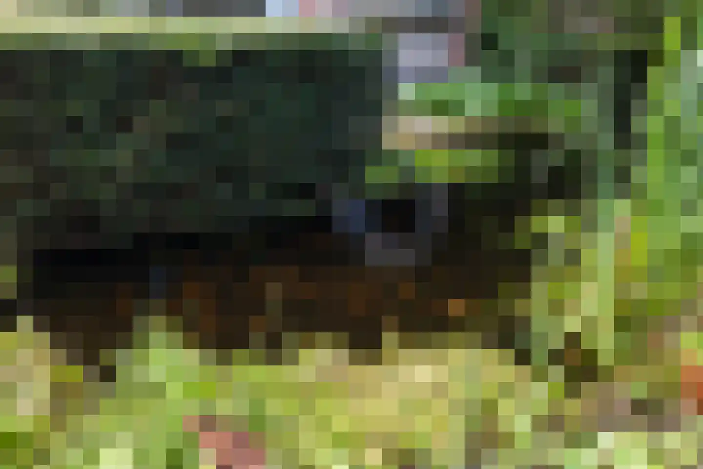 Dr. s'Jacoblaan 43 Zeist thumbnail 25