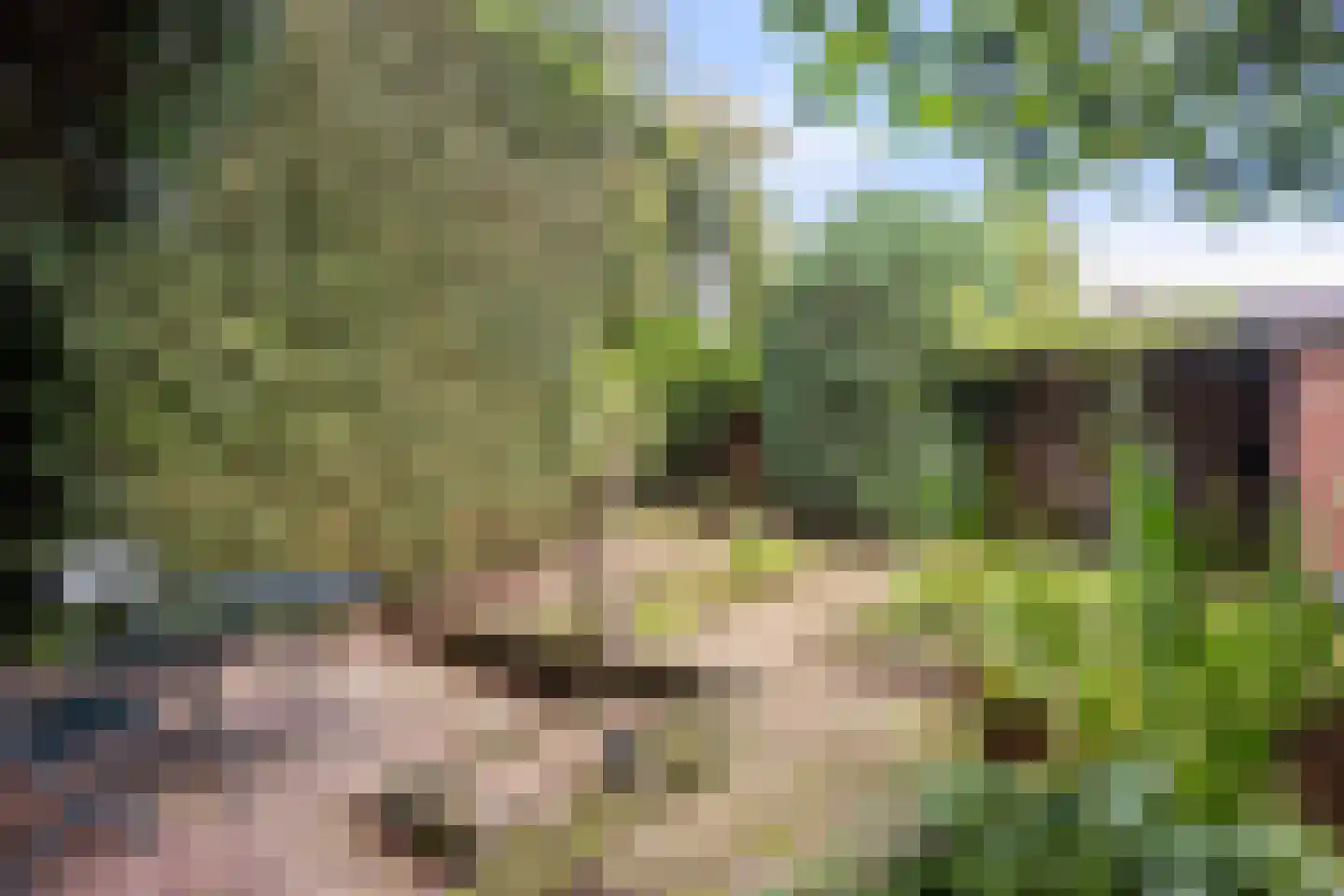 Dr. s'Jacoblaan 43 Zeist thumbnail 28