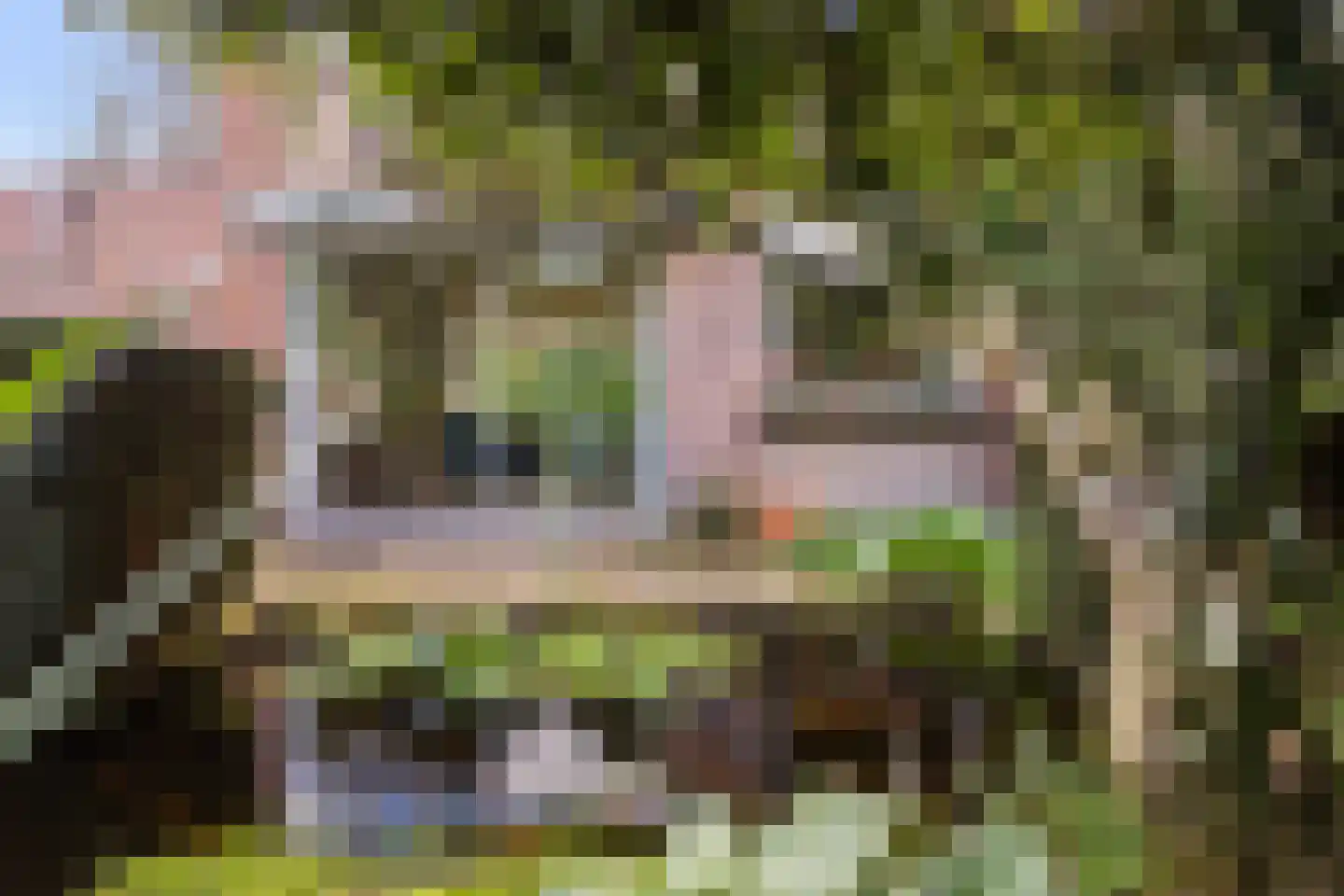 Dr. s'Jacoblaan 43 Zeist thumbnail 29