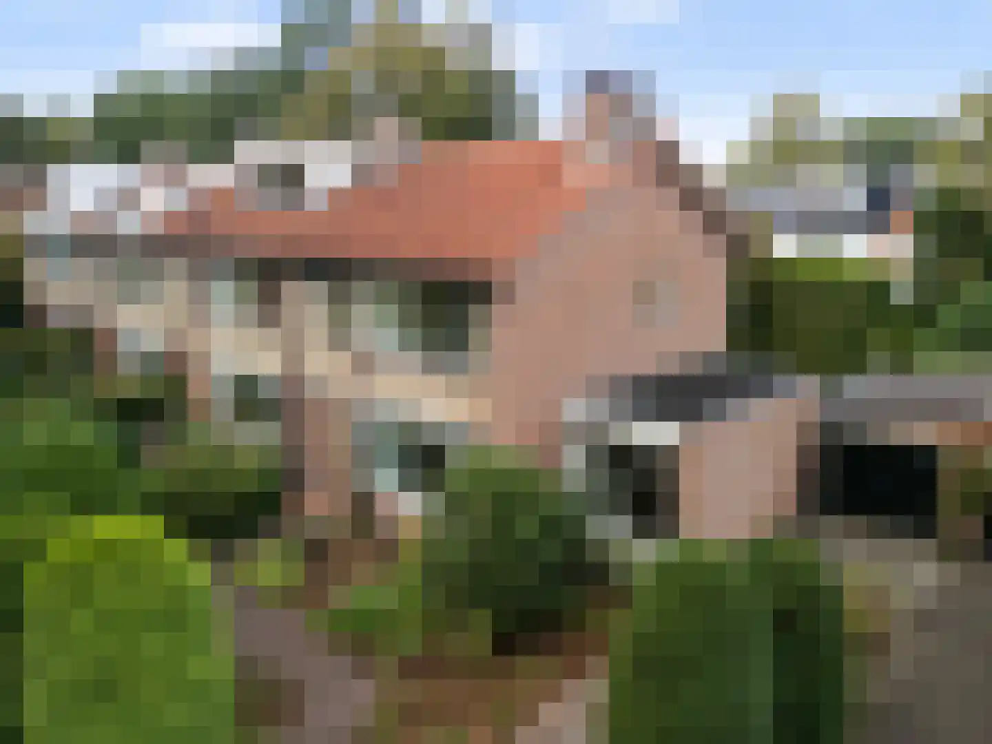 Dr. s'Jacoblaan 43 Zeist thumbnail 45