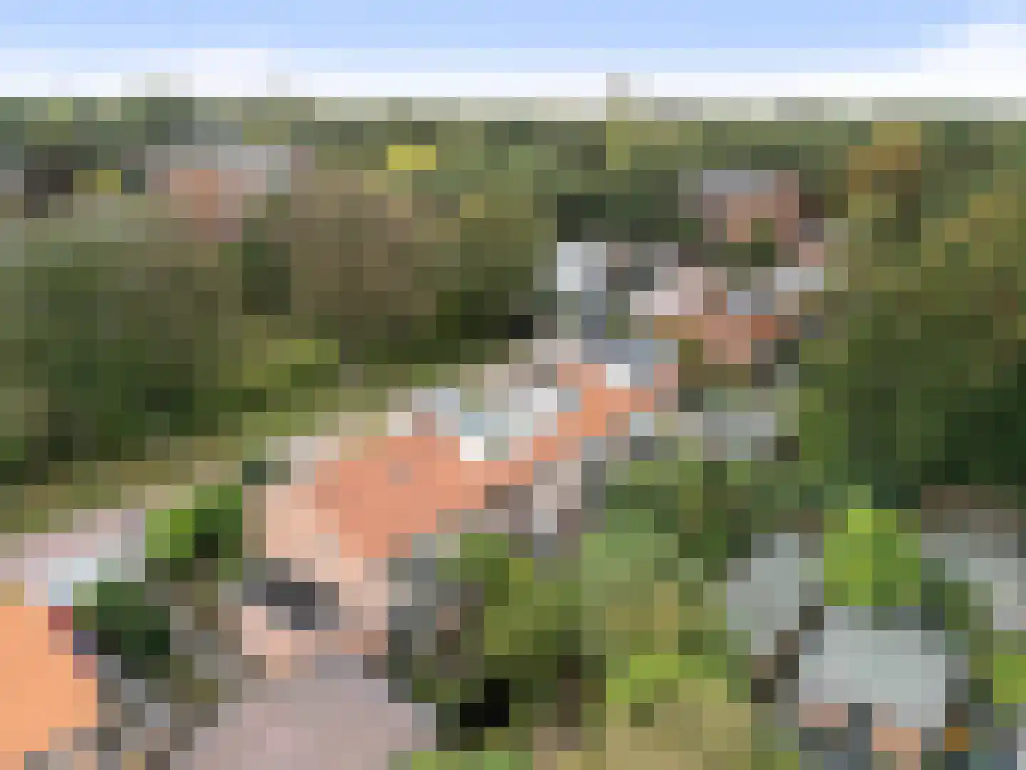 Dr. s'Jacoblaan 43 Zeist thumbnail 47
