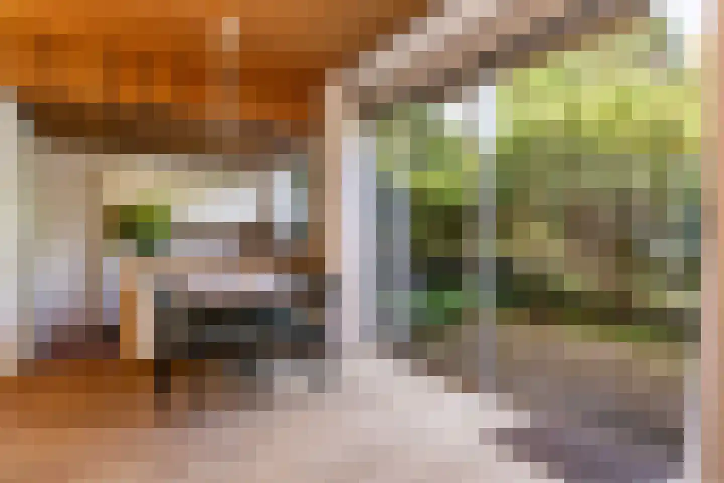 Dr. s'Jacoblaan 43 Zeist thumbnail 5
