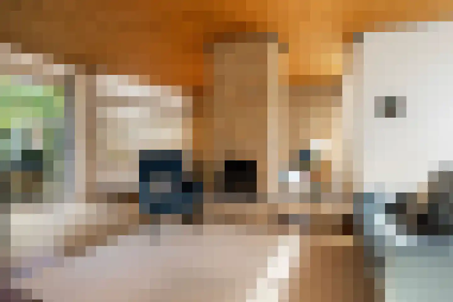 Dr. s'Jacoblaan 43 Zeist thumbnail 7