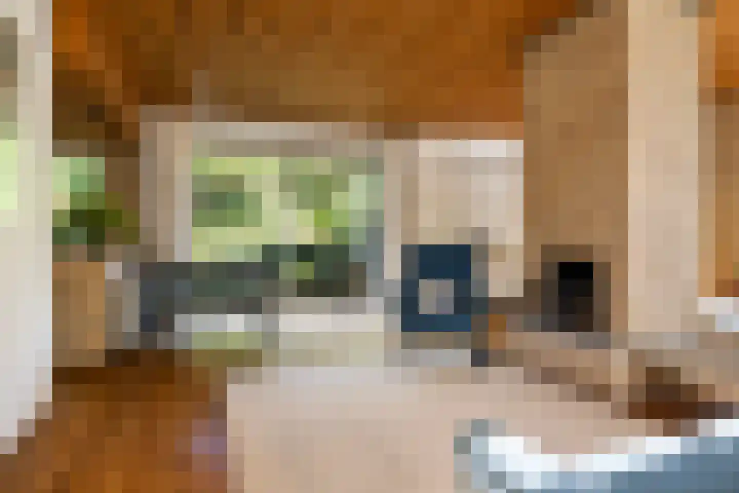 Dr. s'Jacoblaan 43 Zeist thumbnail 8