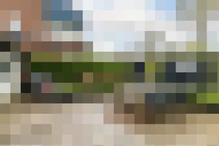 Dr Sauerstraat 15 Schiedam thumbnail 20