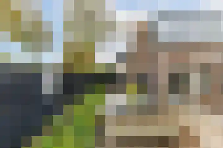 Dr Sauerstraat 15 Schiedam thumbnail 22