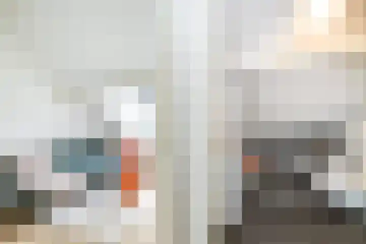 Dr Sauerstraat 15 Schiedam thumbnail 33