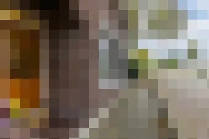 Dr Sauerstraat 15 Schiedam thumbnail 38