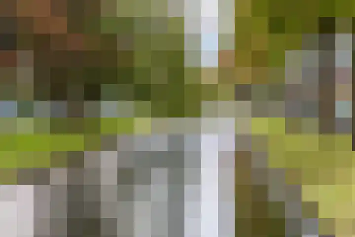 Dr Sauerstraat 15 Schiedam thumbnail 42