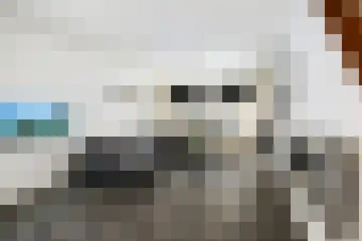 Dr Sauerstraat 3 Schiedam thumbnail 4