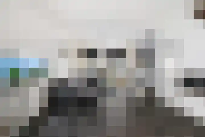 Dr Sauerstraat 3 Schiedam thumbnail 5