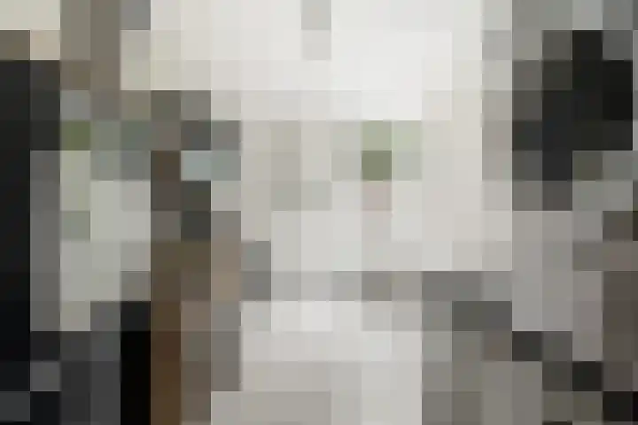 Dr Sauerstraat 3 Schiedam thumbnail 8