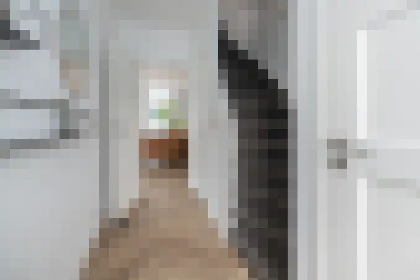 dr. Schaepmanlaan 1 Bussum thumbnail 17