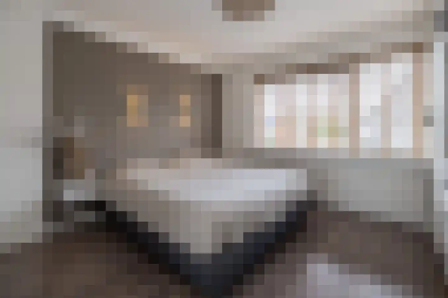 dr. Schaepmanlaan 1 Bussum thumbnail 18
