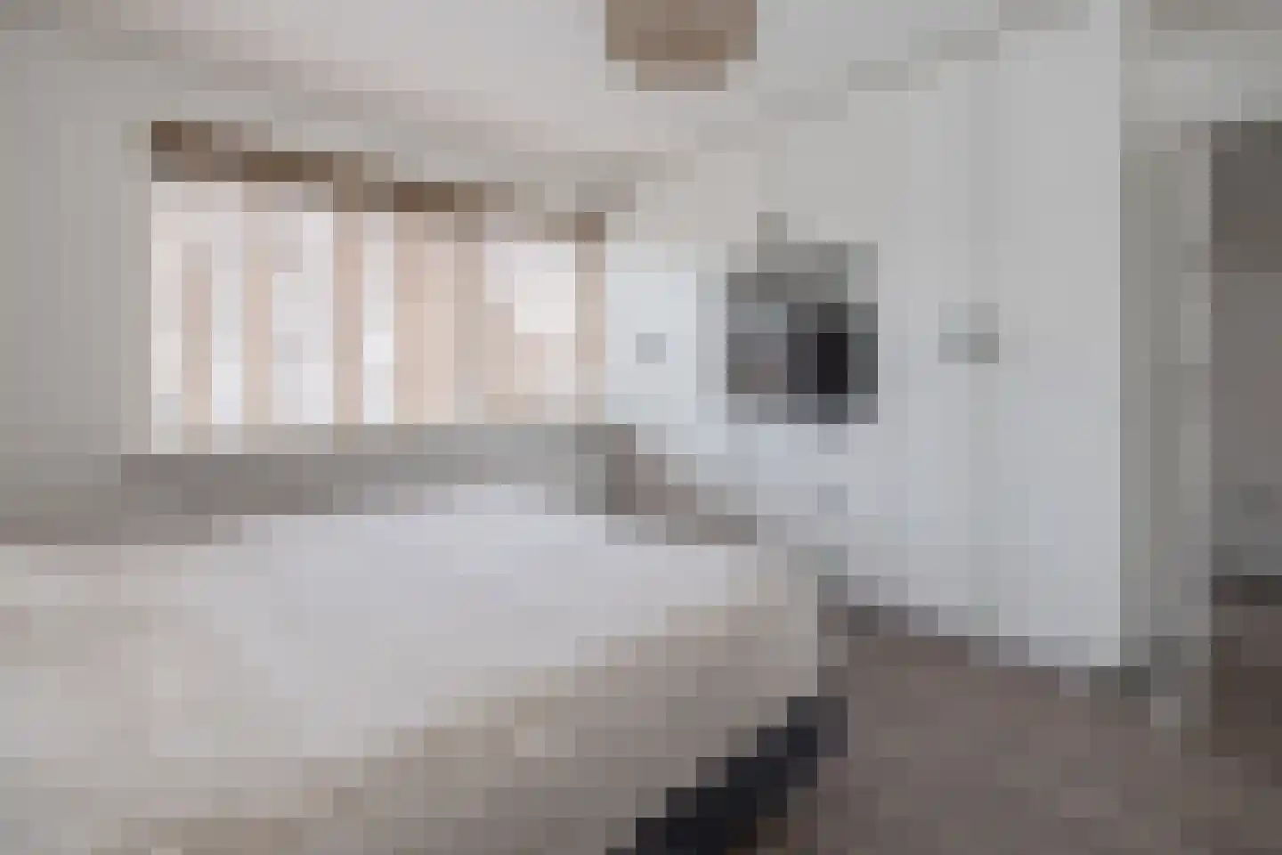 dr. Schaepmanlaan 1 Bussum thumbnail 19