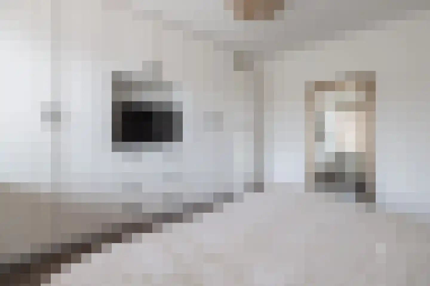 dr. Schaepmanlaan 1 Bussum thumbnail 20