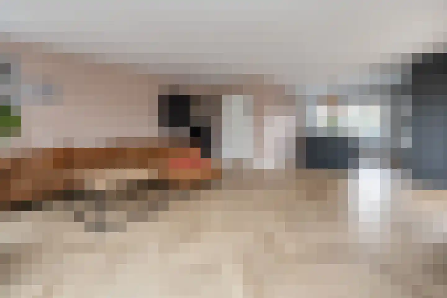 dr. Schaepmanlaan 1 Bussum thumbnail 6
