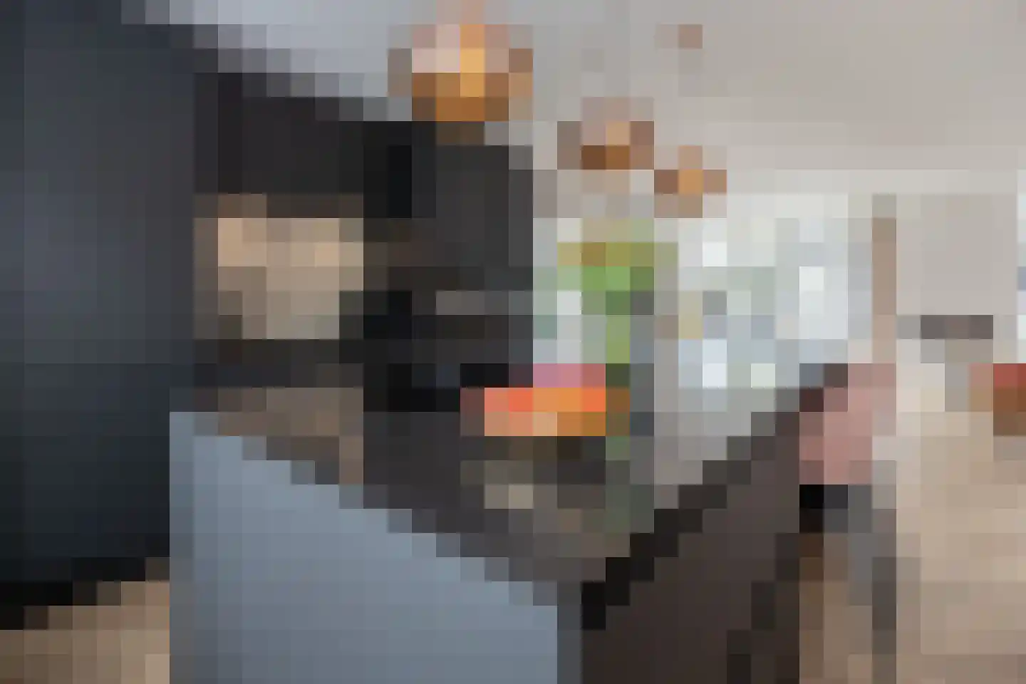 dr. Schaepmanlaan 1 Bussum thumbnail 8
