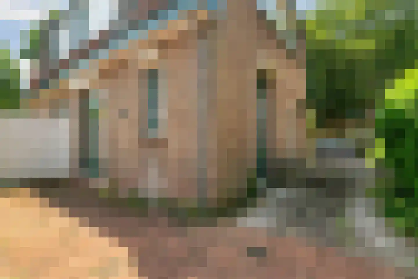 Dr. Schaepmanlaan 104 Arnhem thumbnail 33