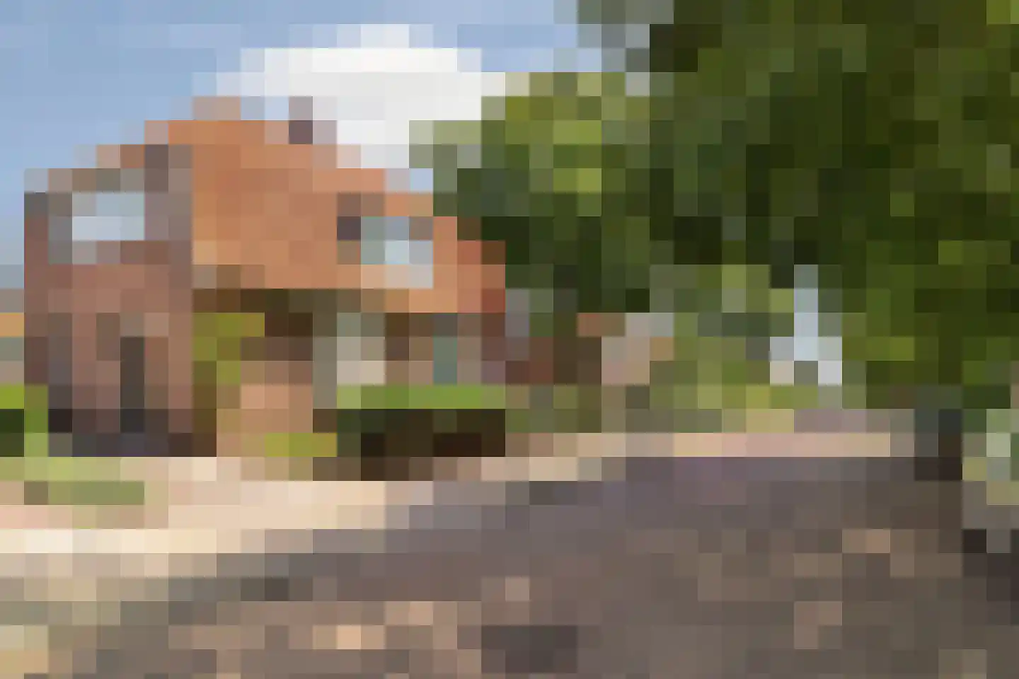 Dr. Schaepmanlaan 104 Arnhem thumbnail 41