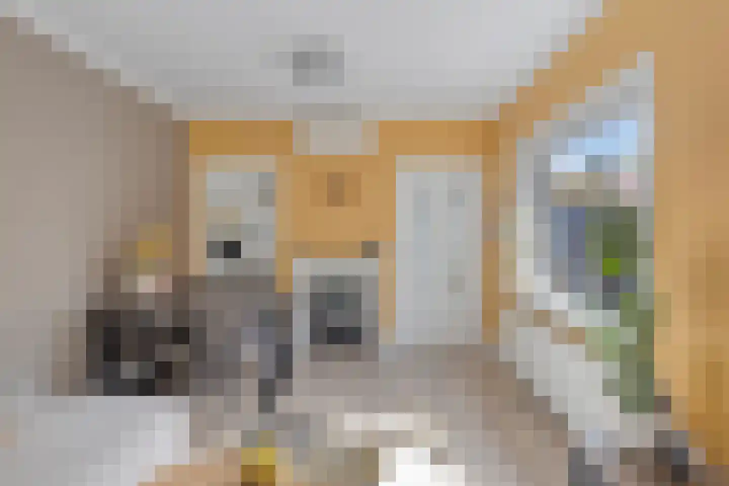 Dr. Schaepmanlaan 106 Arnhem thumbnail 10