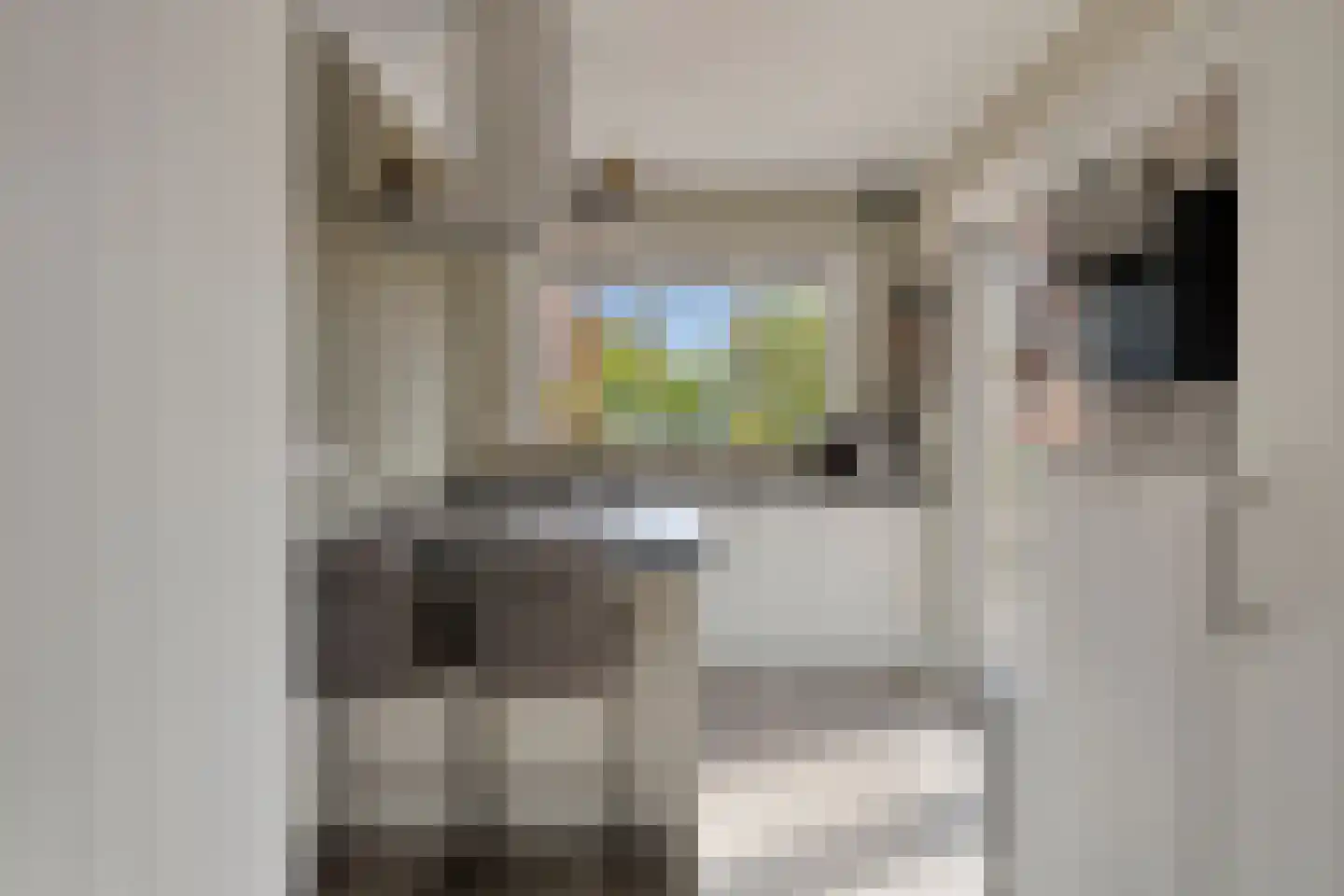 Dr. Schaepmanlaan 106 Arnhem thumbnail 13