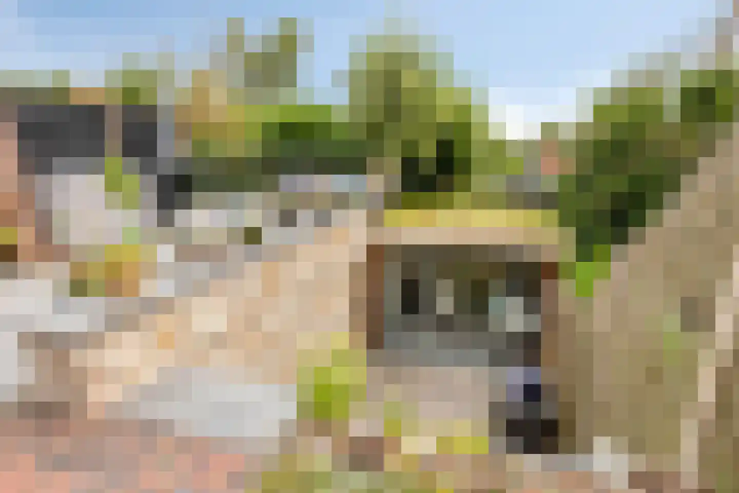 Dr. Schaepmanlaan 106 Arnhem thumbnail 28