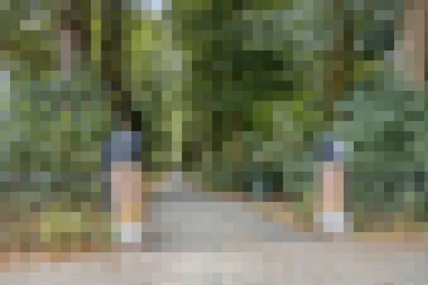 Dr. Schaepmanlaan 106 Arnhem thumbnail 34
