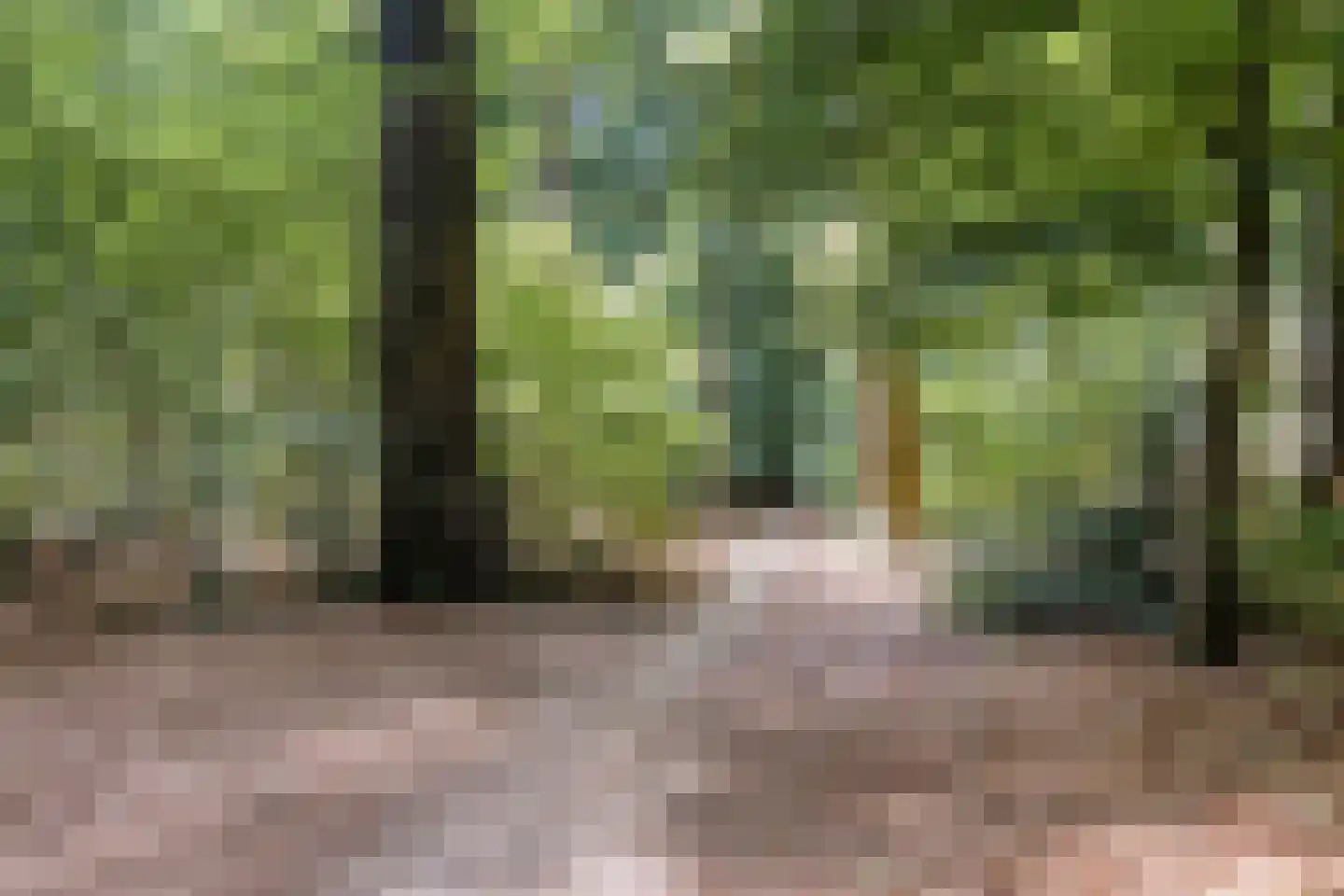 Dr. Schaepmanlaan 106 Arnhem thumbnail 35