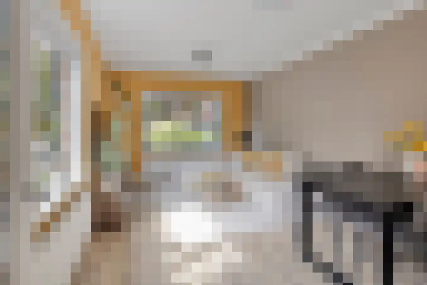 Dr. Schaepmanlaan 106 Arnhem thumbnail 8