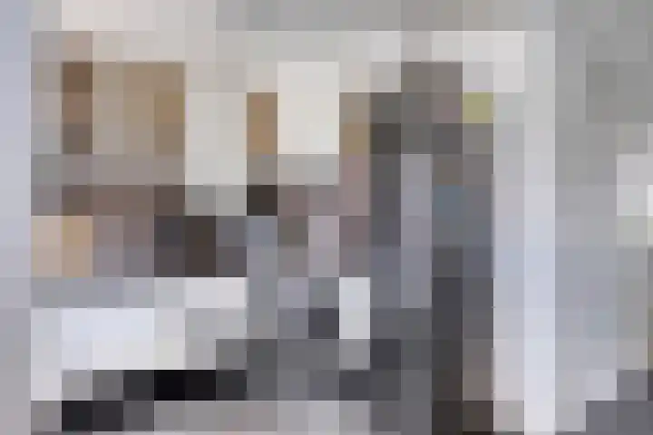 Dr. Schaepmanlaan 11 Waalwijk thumbnail 10