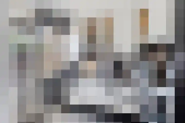 Dr. Schaepmanlaan 11 Waalwijk thumbnail 11