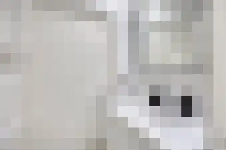 Dr. Schaepmanlaan 11 Waalwijk thumbnail 13