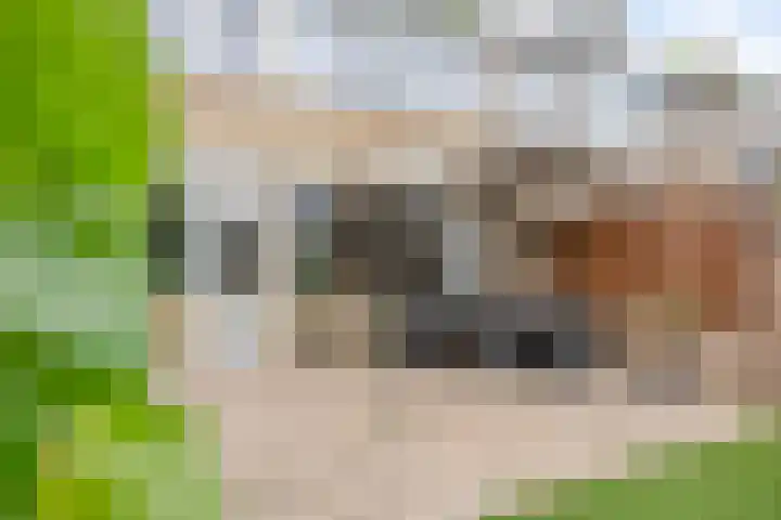 Dr. Schaepmanlaan 11 Waalwijk thumbnail 26