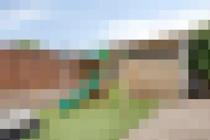 Dr. Schaepmanlaan 11 Waalwijk thumbnail 27