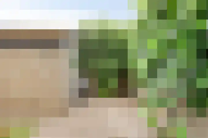 Dr. Schaepmanlaan 11 Waalwijk thumbnail 28