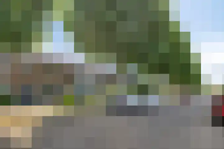 Dr. Schaepmanlaan 11 Waalwijk thumbnail 30