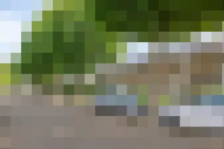 Dr. Schaepmanlaan 11 Waalwijk thumbnail 31