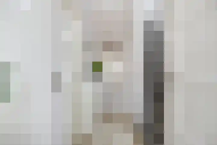 Dr. Schaepmanlaan 11 Waalwijk thumbnail 5