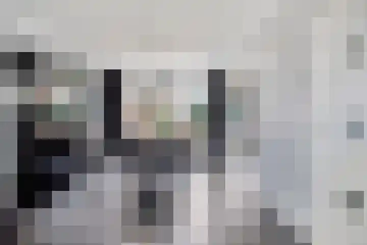 Dr. Schaepmanlaan 11 Waalwijk thumbnail 8