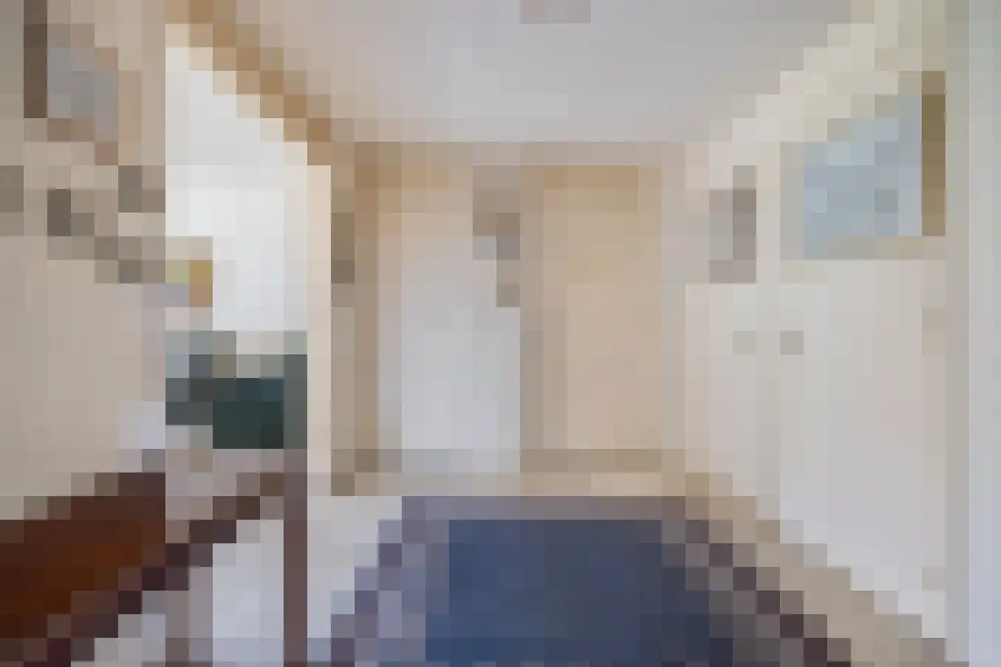 Dr. Schaepmanlaan 13 Breda thumbnail 14