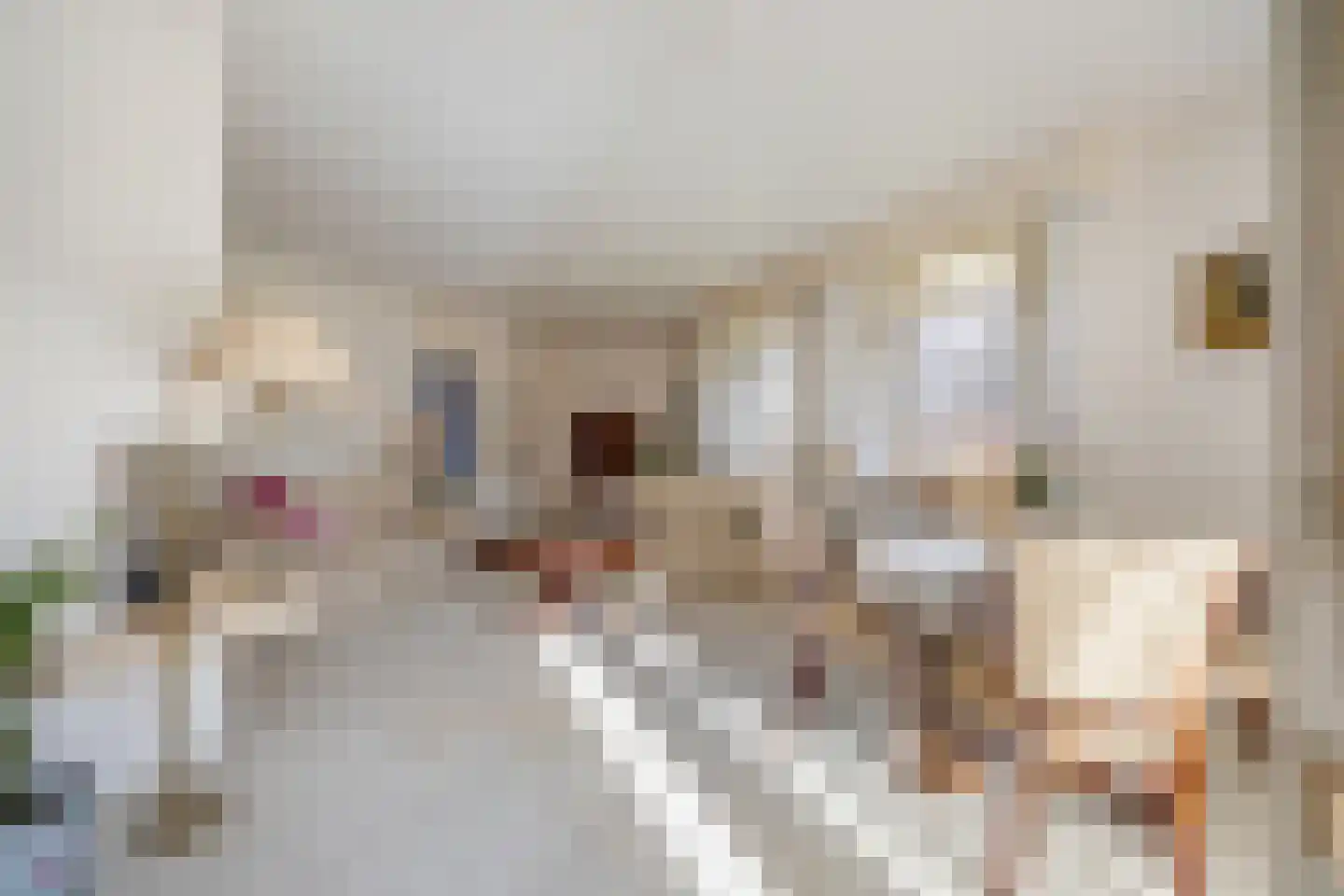 Dr. Schaepmanlaan 13 Breda thumbnail 18