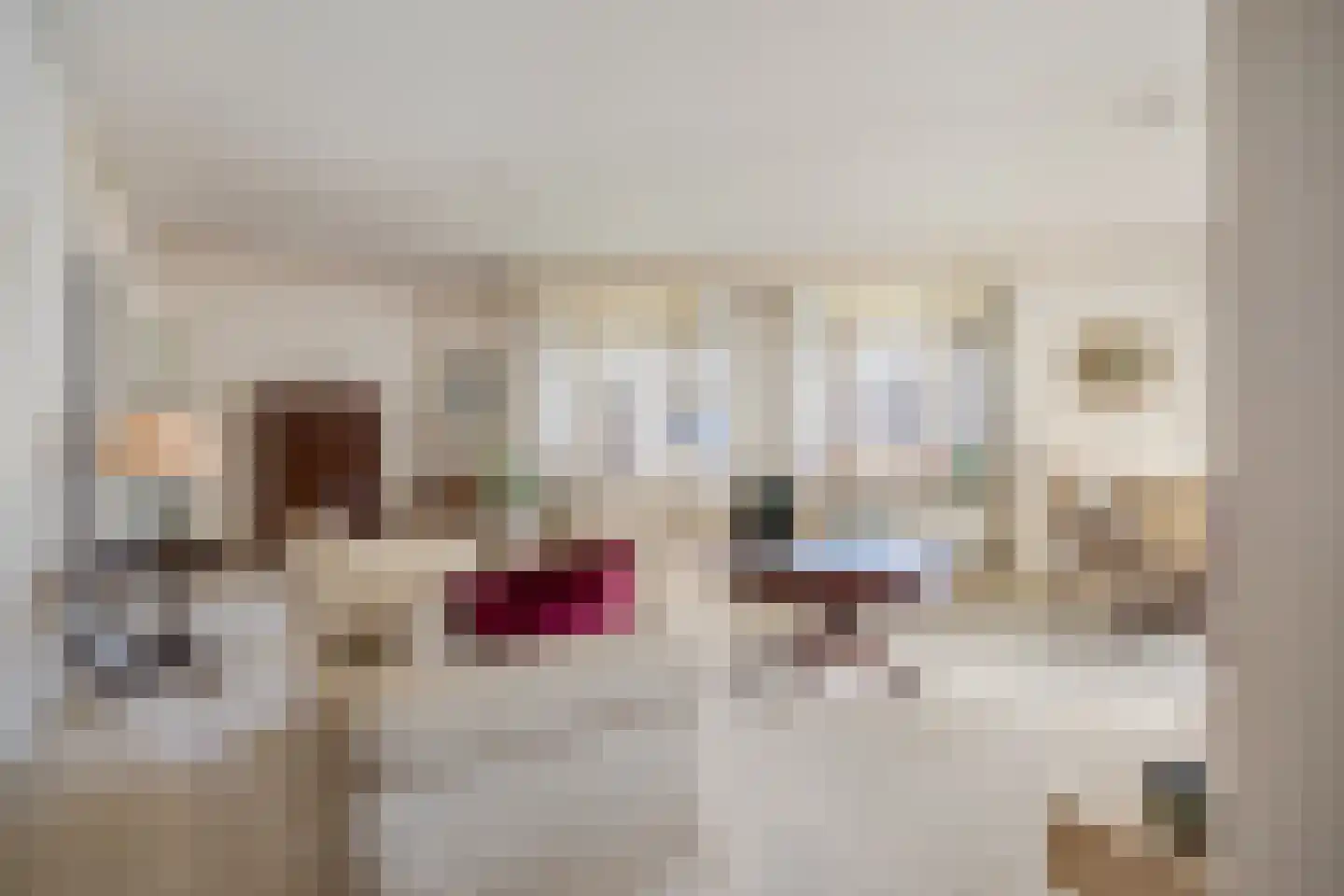 Dr. Schaepmanlaan 13 Breda thumbnail 20