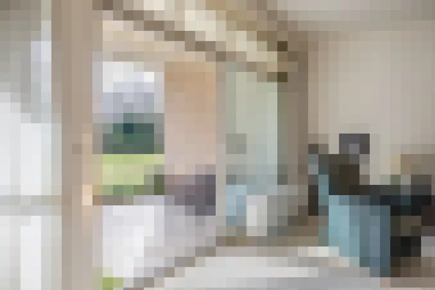 Dr. Schaepmanlaan 13 Breda thumbnail 21