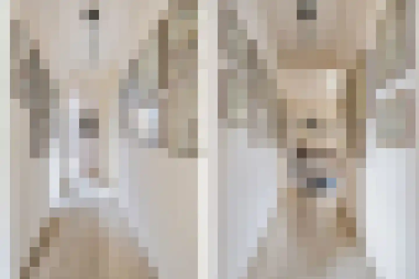Dr. Schaepmanlaan 13 Breda thumbnail 28