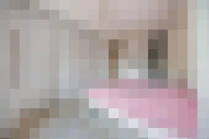 Dr. Schaepmanlaan 13 Breda thumbnail 30